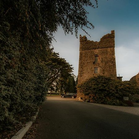 Killiane Castle Country House & Farm Drinagh エクステリア 写真