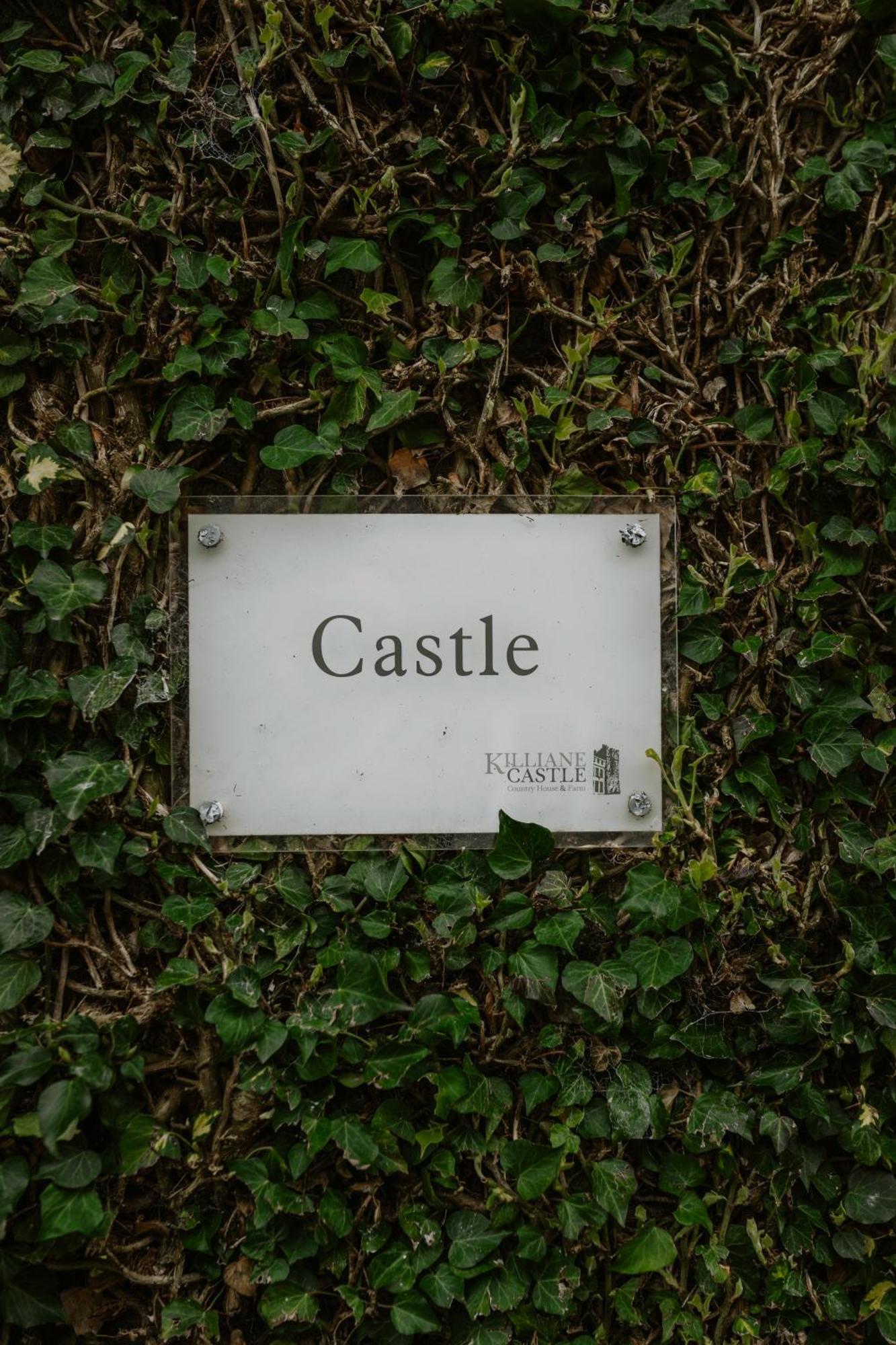 Killiane Castle Country House & Farm Drinagh エクステリア 写真