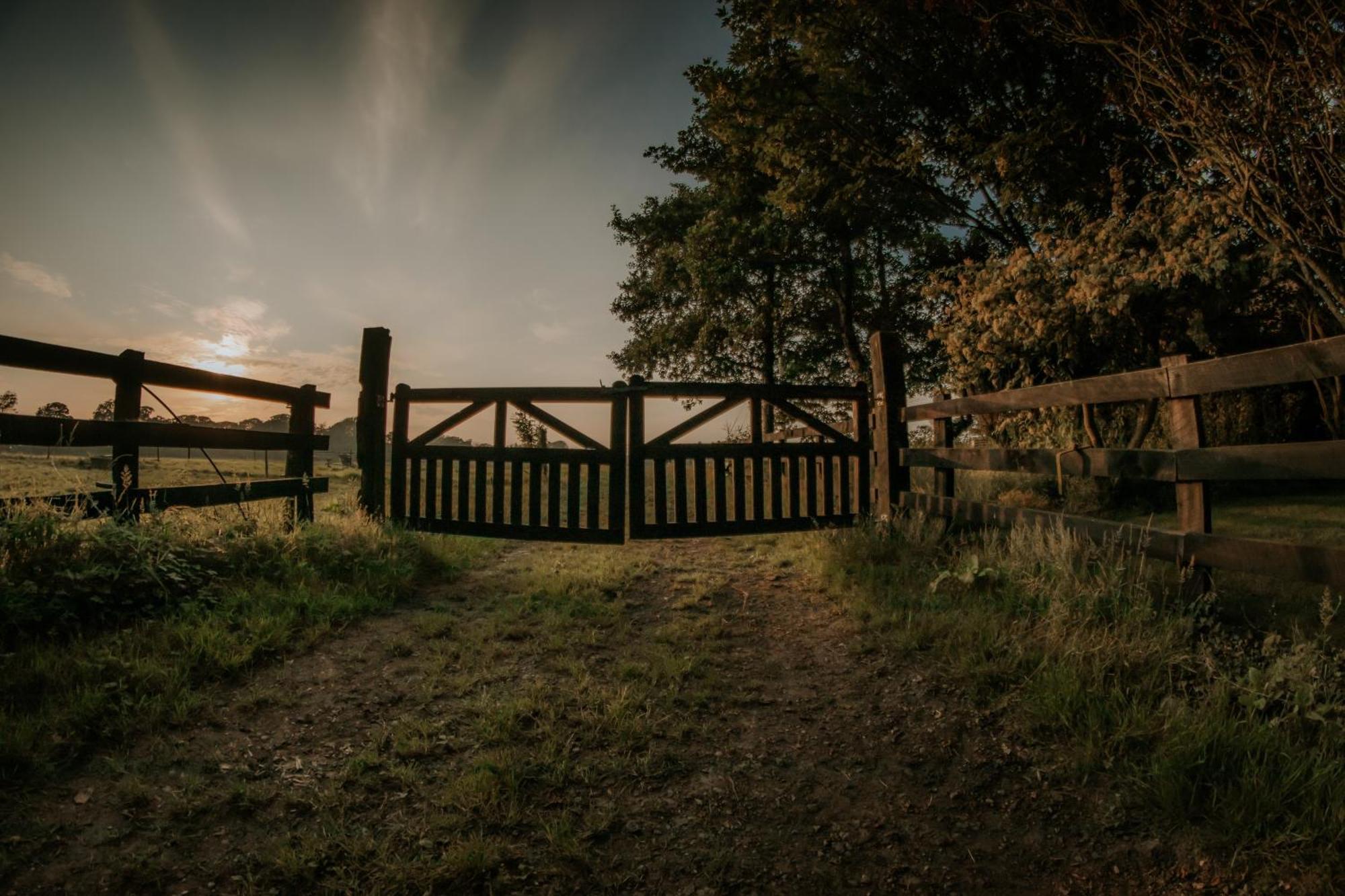 Killiane Castle Country House & Farm Drinagh エクステリア 写真
